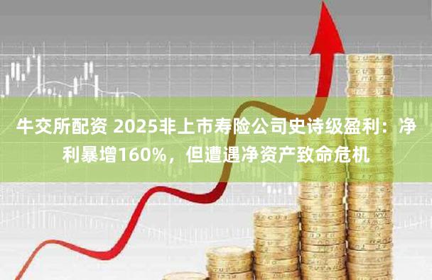 牛交所配资 2025非上市寿险公司史诗级盈利：净利暴增160%，但遭遇净资产致命危机