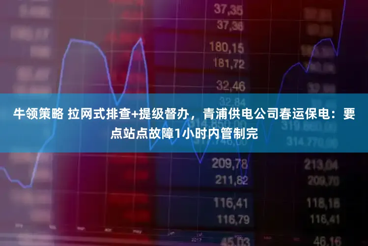 牛领策略 拉网式排查+提级督办，青浦供电公司春运保电：要点站点故障1小时内管制完