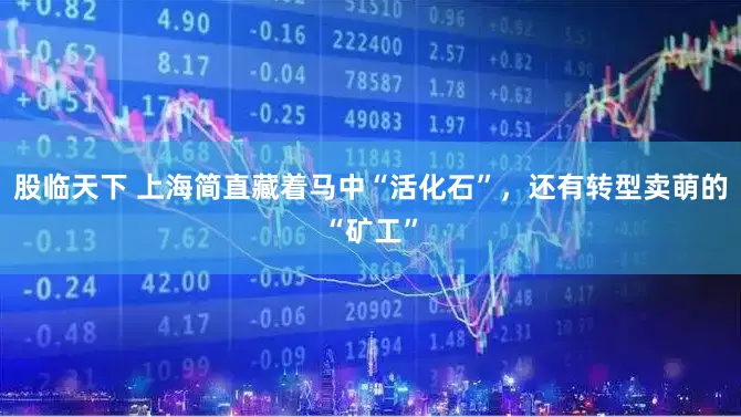 股临天下 上海简直藏着马中“活化石”，还有转型卖萌的“矿工”