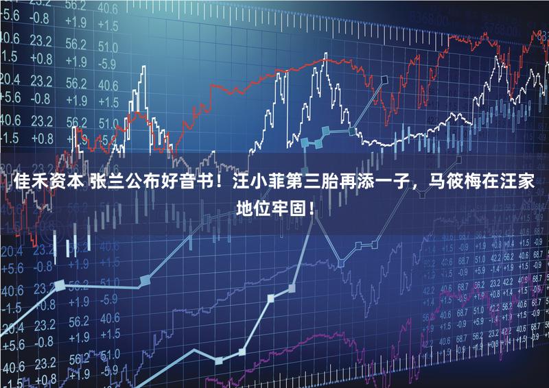 佳禾资本 张兰公布好音书！汪小菲第三胎再添一子，马筱梅在汪家地位牢固！