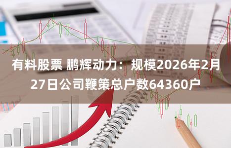 有料股票 鹏辉动力：规模2026年2月27日公司鞭策总户数64360户