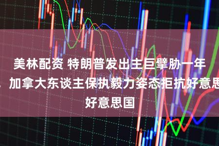 美林配资 特朗普发出主巨擘胁一年后，加拿大东谈主保执毅力姿态拒抗好意思国