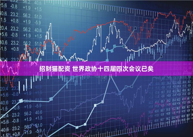 招财猫配资 世界政协十四届四次会议已矣