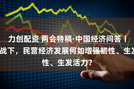 力创配资 两会特稿·中国经济问答丨压力挑战下，民营经济发展何如增强韧性、生发活力？