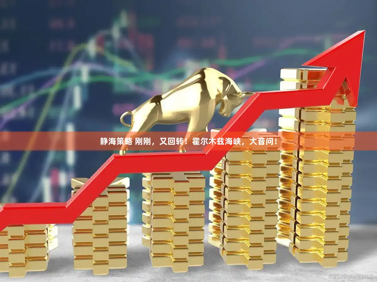 静海策略 刚刚，又回转！霍尔木兹海峡，大音问！