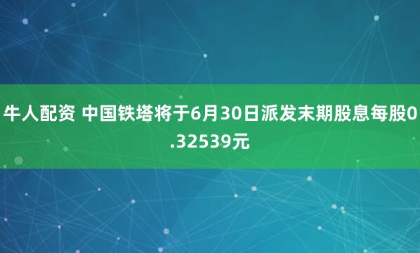 牛人配资 中国铁塔将于6月30日派发末期股息每股0.32539元