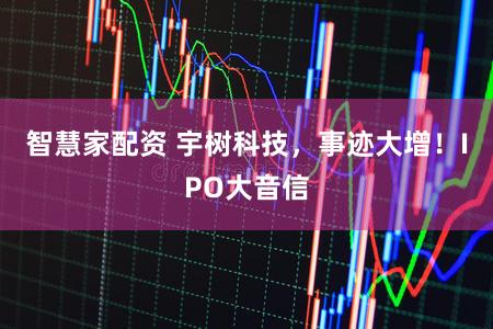 智慧家配资 宇树科技,事迹大增!IPO大音信