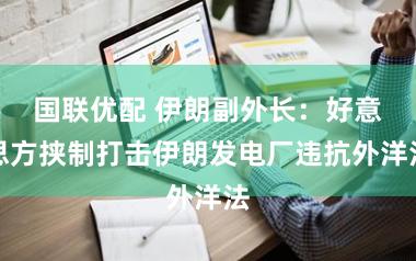 国联优配 伊朗副外长:好意思方挟制打击伊朗发电厂违抗外洋法