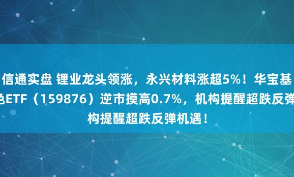 信通实盘 锂业龙头领涨,永兴材料涨超5%!华宝基金有色ETF(159876)逆市摸高0.7%,机构提醒超跌反弹机遇!