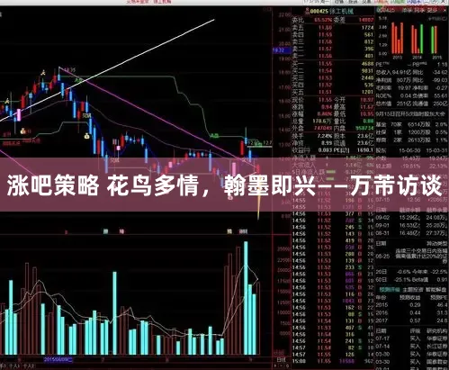 涨吧策略 花鸟多情,翰墨即兴——万芾访谈