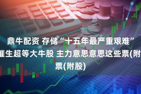 鼎牛配资 存储“十五年最严重艰难”!催生超等大牛股 主力意思意思这些票(附股)