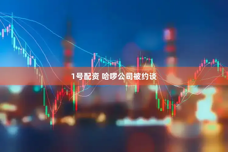 1号配资 哈啰公司被约谈