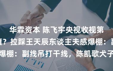 华霖资本 陈飞宇央视收视第一却被骂面瘫？拉踩王天辰东谈主夫感爆棚：副线吊打干线，陈凯歌犬子资源白拿